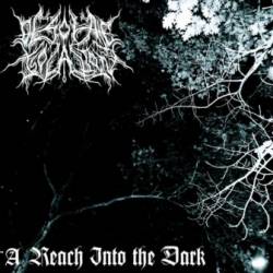 Desolate Isolation : A Reach into the Dark